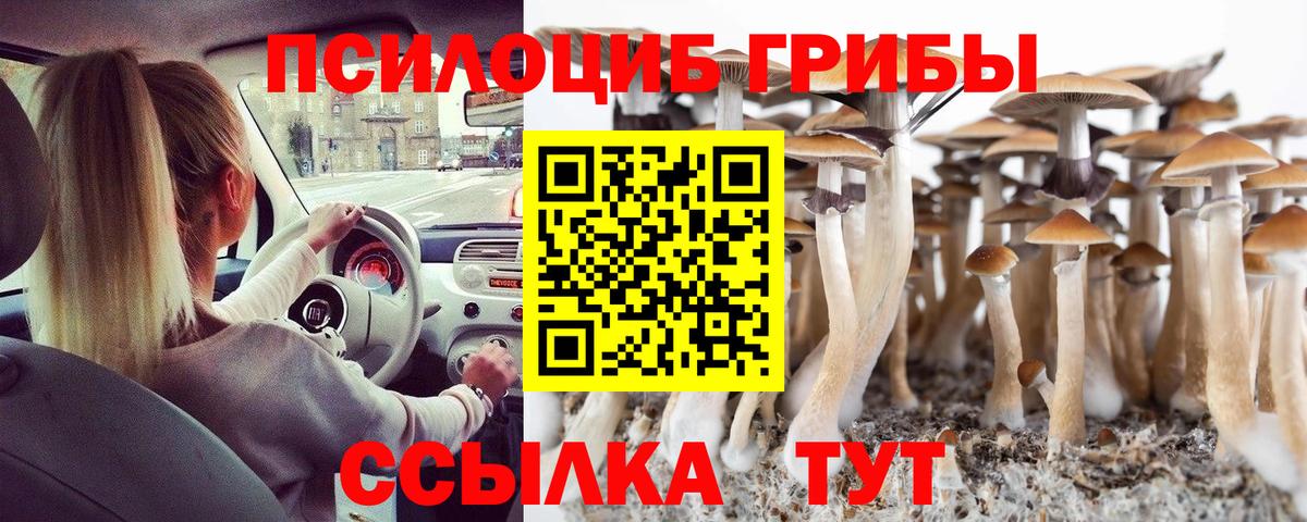 Аргун  Псилоцибиновые грибы Magic Shrooms  Псилоцибиновые грибы прущие грибы  Вход с VPN 